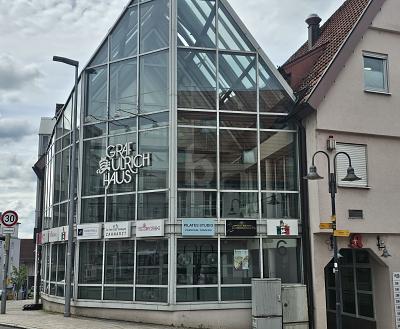 COOLE BAR IN TOP-LAGE - Gewerbeobjekt Leonberg | Angebot:26766060
