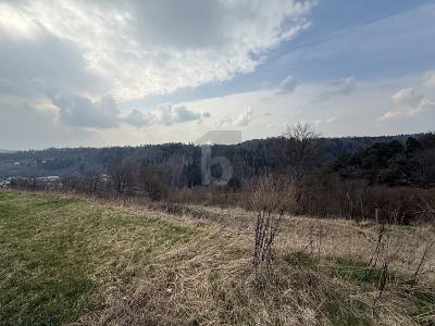 TRAUMGRUNDSTÜCK IM GRÜNEN - Grundstück Wildberg | Angebot:26766051
